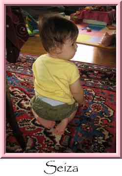 Seiza Thumbnail